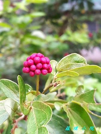 20170922_104519.jpg 20170922_104519.jpg