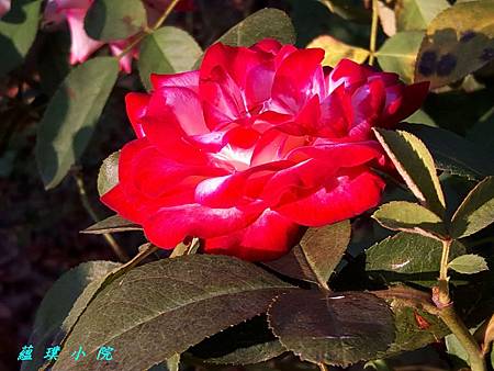 20171006_163402.jpg 20171006_163402.jpg