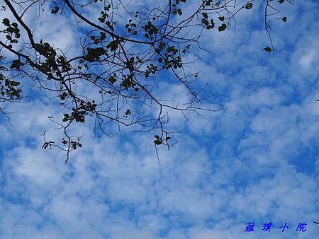 PC031587.jpg PC031587.jpg