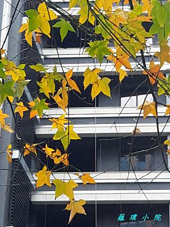 20180208_141251.jpg 20180208_141251.jpg