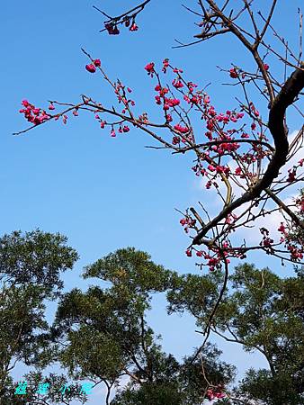 20180218_145650.jpg 20180218_145650.jpg