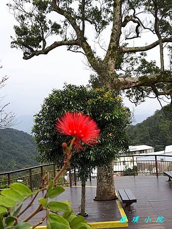 20180226_154146.jpg 20180226_154146.jpg