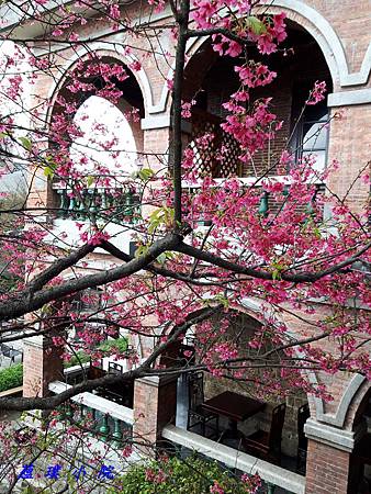 20180305_150507.jpg 20180305_150507.jpg