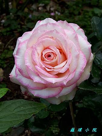 20180118_151203.jpg 20180118_151203.jpg
