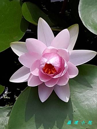 20180526_093528.jpg 20180526_093528.jpg