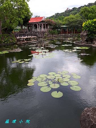 20180703_100547.jpg 20180703_100547.jpg