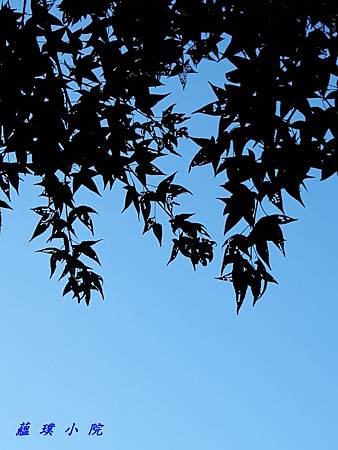 20180709_170858.jpg 20180709_170858.jpg