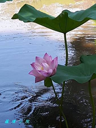 20180612_104957.jpg 20180612_104957.jpg