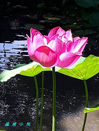 20180612_103322.jpg 20180612_103322.jpg
