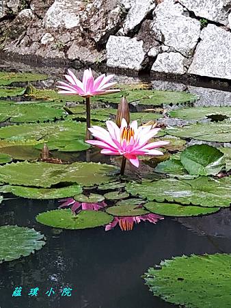 20180726_091954.jpg 20180726_091954.jpg