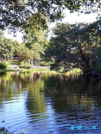 20180716_172917.jpg 20180716_172917.jpg