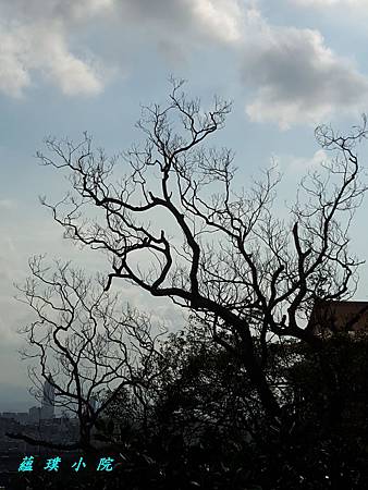 20171026_135725.jpg 20171026_135725.jpg