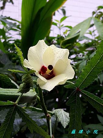20181004_100947.jpg 20181004_100947.jpg