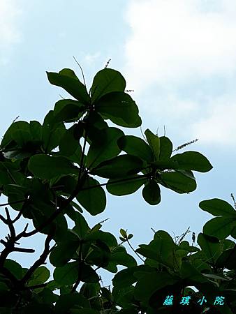 20180920_113859.jpg 20180920_113859.jpg
