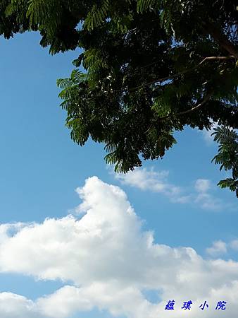 20181021_144314.jpg 20181021_144314.jpg