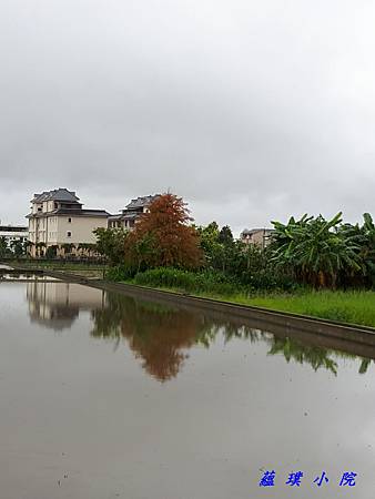 20181117_161000.jpg 20181117_161000.jpg