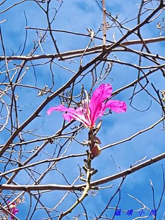 20190104_113831.jpg 20190104_113831.jpg