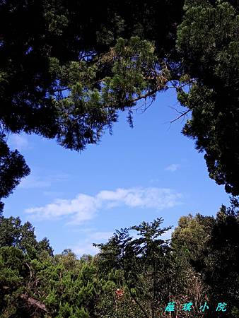 20190119_105832.jpg 20190119_105832.jpg