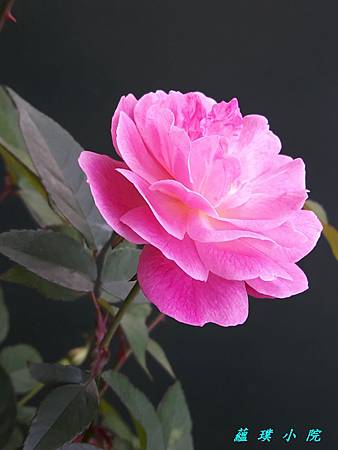 20190130_150734.jpg 20190130_150734.jpg