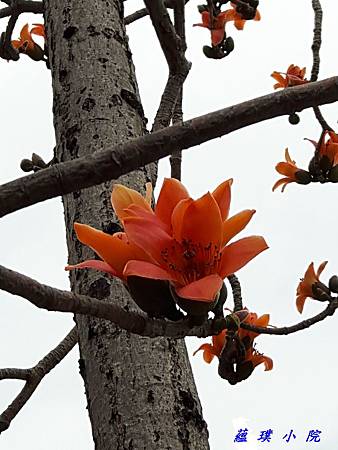 20190223_123628.jpg 20190223_123628.jpg
