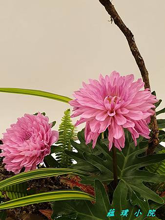20190419_130600.jpg 20190419_130600.jpg