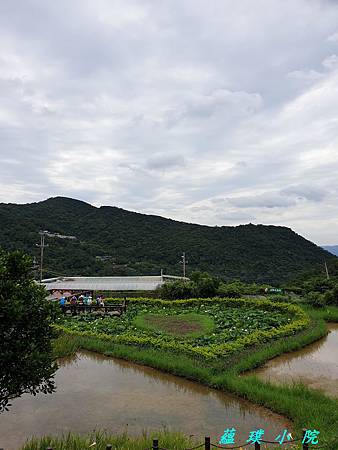 20190608_111603.jpg 20190608_111603.jpg