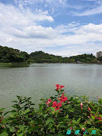 20190608_131859.jpg 20190608_131859.jpg