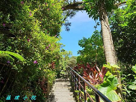 20190805_091910.jpg 20190805_091910.jpg