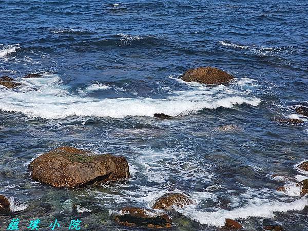 20240213_132033.jpg 20240213_132033.jpg