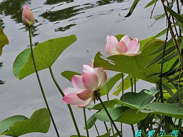 20240525_133238.jpg 20240525_133238.jpg