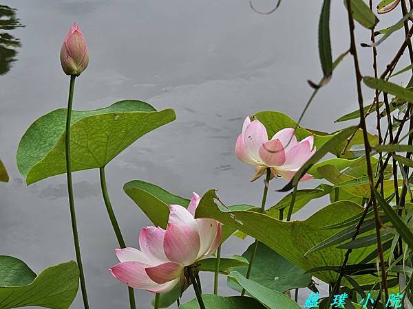 20240525_133215.jpg 20240525_133215.jpg