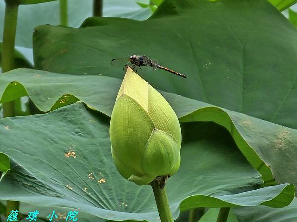 20240621_112000.jpg 20240621_112000.jpg