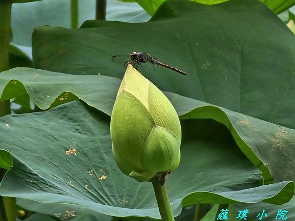 20240621_111958.jpg 20240621_111958.jpg