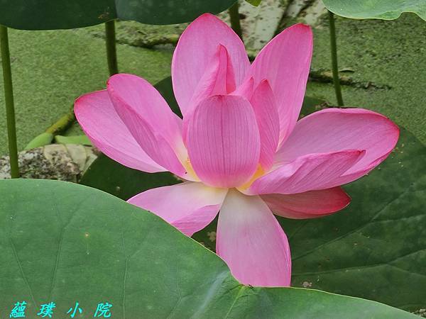 20240608_093626.jpg 20240608_093626.jpg