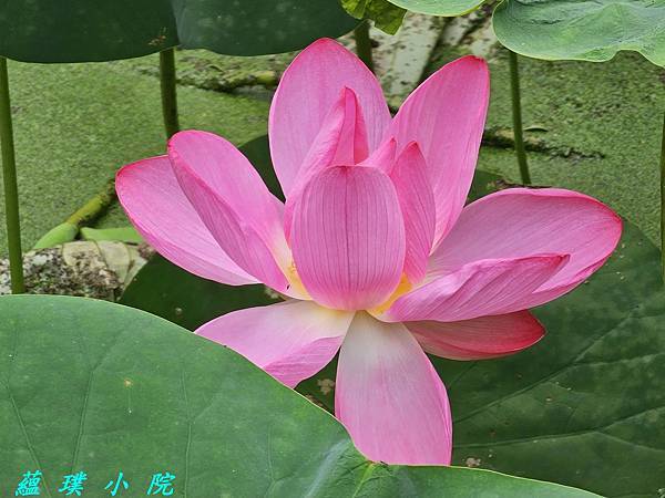 20240608_093625.jpg 20240608_093625.jpg