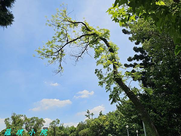 20240625_104407.jpg 20240625_104407.jpg