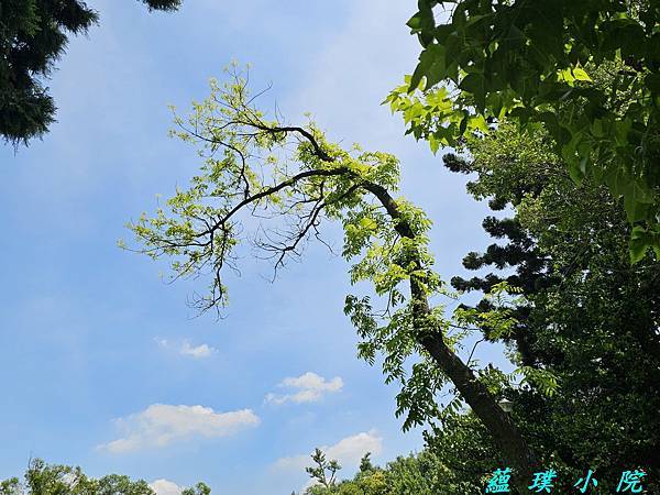 20240625_104410.jpg 20240625_104410.jpg