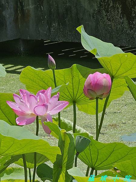 20240509_103329.jpg 20240509_103329.jpg