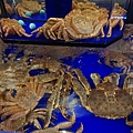 DSC05272.JPG