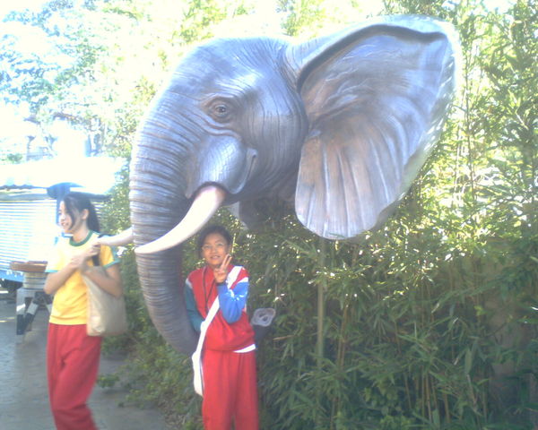 雅璇&amp;怡茹&amp;旁邊ㄉ大象