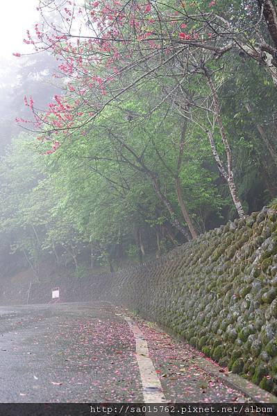 門口的路旁