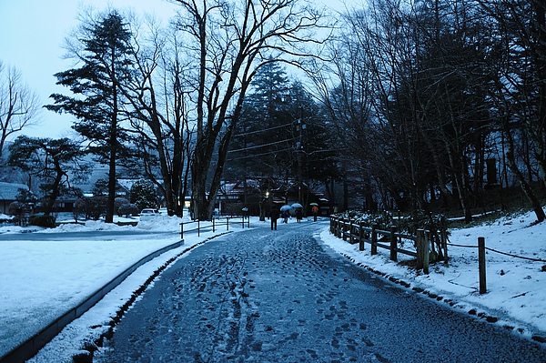 第一次看到雪耶!