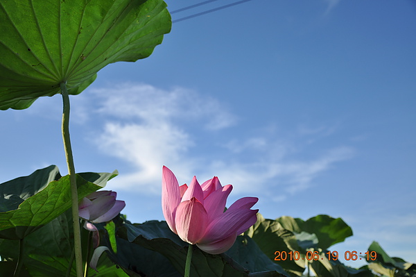 美麗的天空