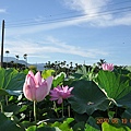 藍天白雲