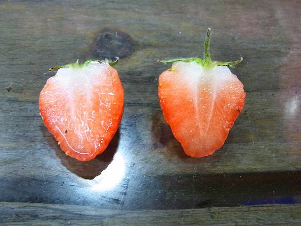 草莓植物工廠-自然農法栽培