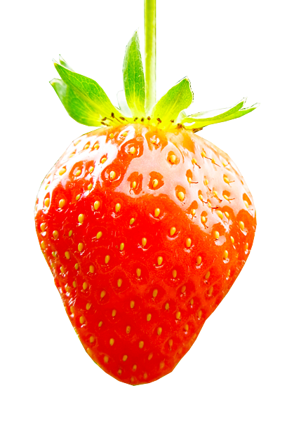 微型植物工廠的健康草莓