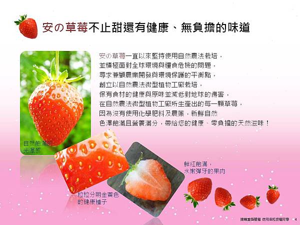 植物工廠-安全無毒草莓特寫