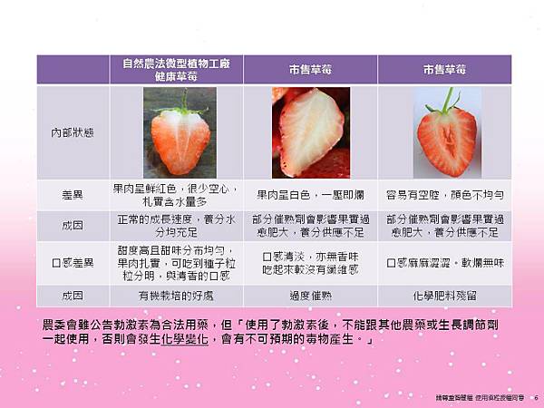 植物工廠-挑選健康無毒草莓的內部