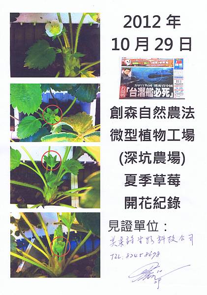 2012-10-29開花見證