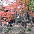 井之頭公園一景